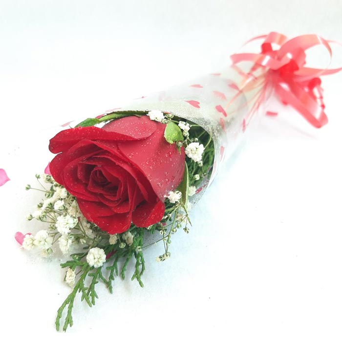 Single Imported Red Rose in a Box