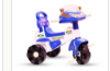 Little Star Rainbow Tricycle