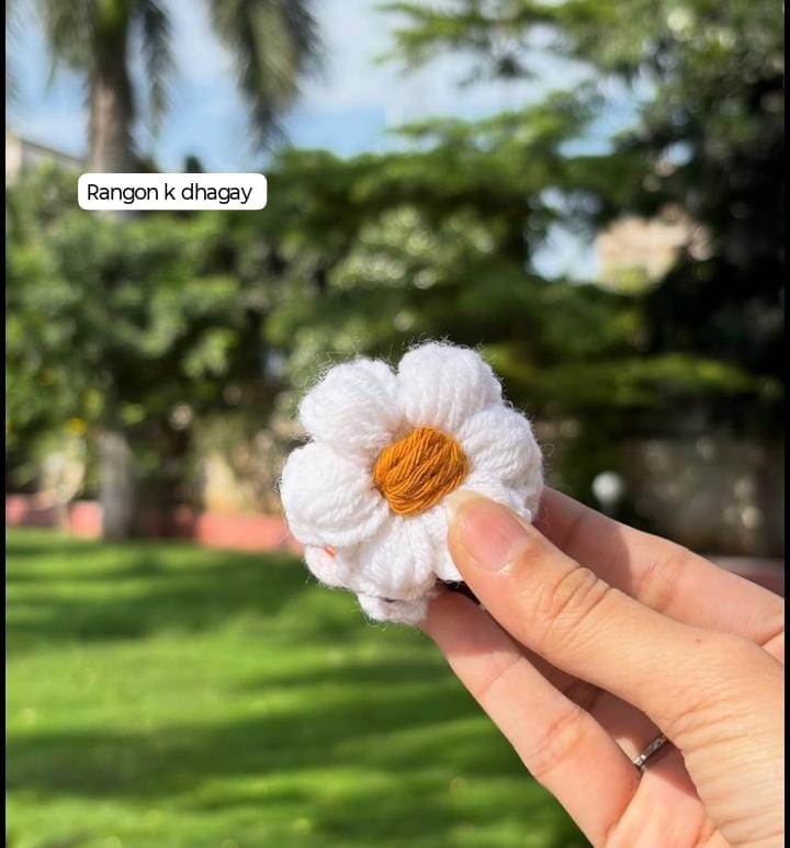 Single daisy cluture
