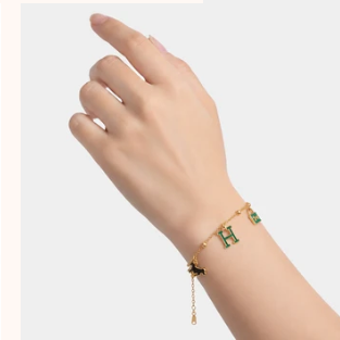 Luxury Charm Bracelet