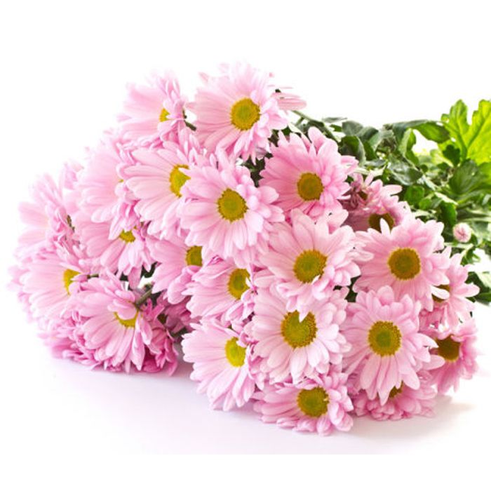 Pink Daisies Bouquet